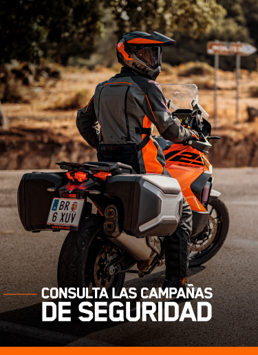 Nueva Imagen 1